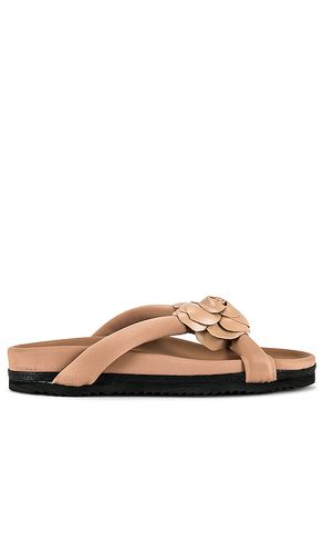 Fleur X Sandal in . Size 39, 40, 41 - R0AM - Modalova