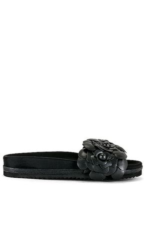 Fleur Slide Sandal in . Size 39 - R0AM - Modalova