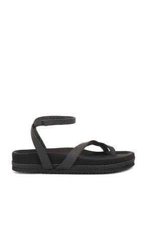 Cross Wrap Sandal in . Size 7 - R0AM - Modalova