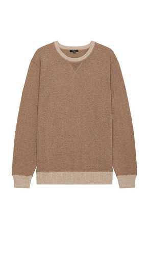 Burns Pullover Sweater in . Taglia M, S, XL/1X - Rails - Modalova