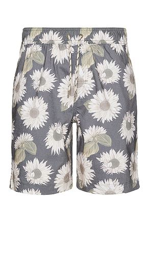 Kian Swim Short in . Taglia M, S, XL/1X - Rails - Modalova