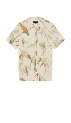 Gonzo Woven Shirt in . Size M, S - ROARK - Modalova
