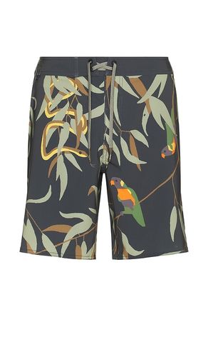 Passage Swim Short in . Size 30, 31, 32, 33, 34, 36 - ROARK - Modalova