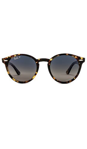 Ray-Ban SONNENBRILLE in Brown - Ray-Ban - Modalova