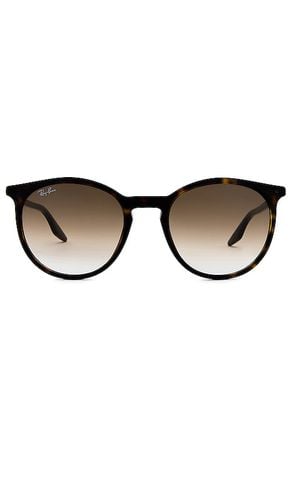 Ray-Ban SONNENBRILLE in Brown - Ray-Ban - Modalova