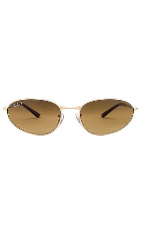 Oval Sunglasses in - Ray-Ban - Modalova