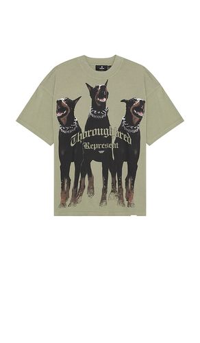 Thoroughbred T-Shirt in . Size M, S, XL/1X - REPRESENT - Modalova