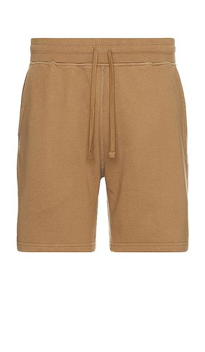 Midweight terry sweatshort 6 en color marrón talla S en - Brown. Talla S (también en XL/1X) - Reigning Champ - Modalova