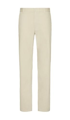 Solotex Cotton Freshman Pant in . Taglia 34, 36 - Reigning Champ - Modalova