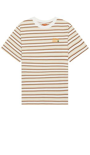 Vintage Stripe T-Shirt in . Taglia M - Rhythm - Modalova