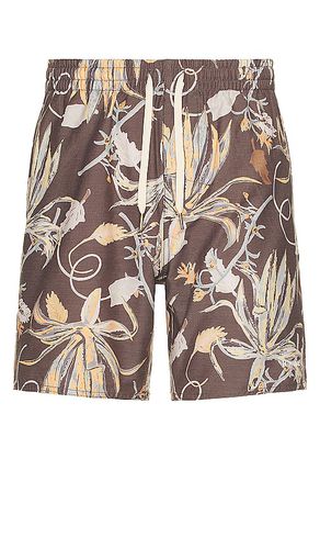 Oasis Beach Short in . Taglia 32, 34 - Rhythm - Modalova