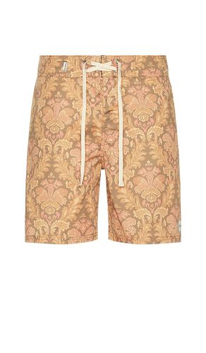 Paisley Swim Short in . Size 32, 34, 36 - Rhythm - Modalova