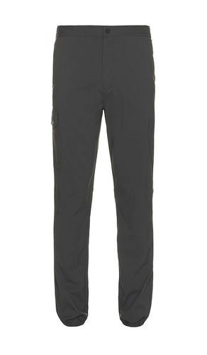 Dubliner Cargo Pant in . Size XL/1X - Rhone - Modalova