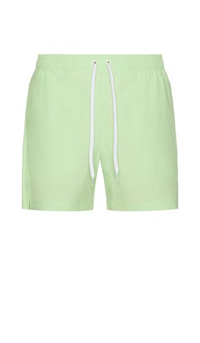 R&R Swim Trunk in . Size S, XL/1X - Rhone - Modalova