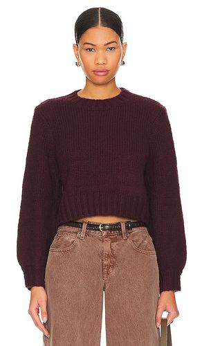 Gigi Sweater in . Size M, S, XL, XS - ROLLA'S - Modalova