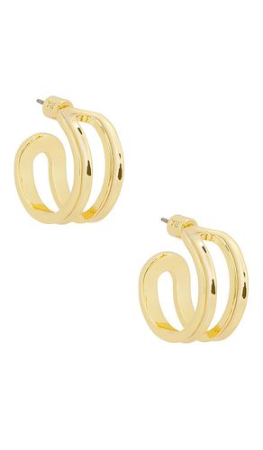 Open Hoop Earrings in - Roxanne Assoulin - Modalova