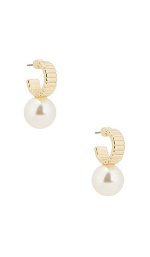 Swan Hoop Earrings in - Roxanne Assoulin - Modalova