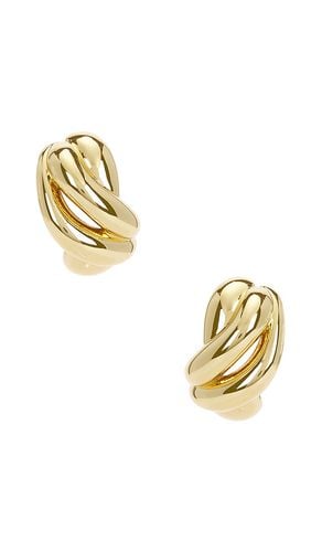 The Knot Earrings in - Roxanne Assoulin - Modalova