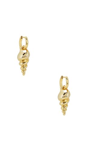 Conch Earrings in - Roxanne Assoulin - Modalova