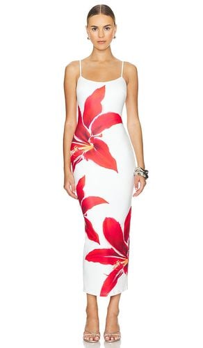 Deia Midi Dress in . Size XL, XXL - Runaway The Label - Modalova