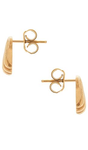 Conchita Oro Studs in - Studio Conchita - Modalova