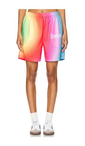 Sublime Mesh Short in . Size S - Stay Cool - Modalova