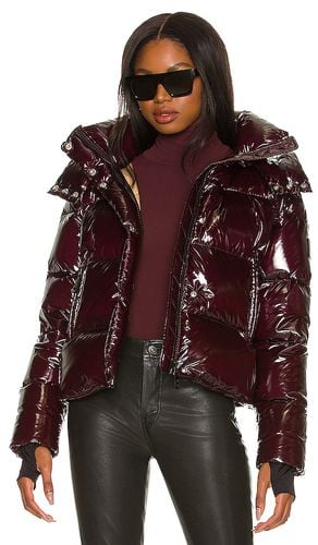 SAM. Jordy Jacket in Wine. Size XS - SAM. - Modalova