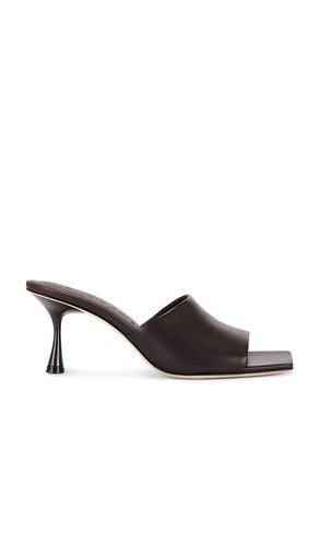 Classic 70 Mule in . Size 38, 39 - Studio Amelia - Modalova