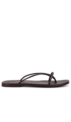 Rouleau Sandals in . Size 37, 38, 39 - St. Agni - Modalova