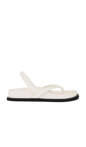 Sling Back Thong Sandal in . Size 37, 38, 39, 40, 41 - St. Agni - Modalova