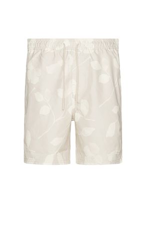 Timothy floral impressions swim short en color gris talla L en - Grey. Talla L (también en S, XL/1X) - SATURDAYS NYC - Modalova