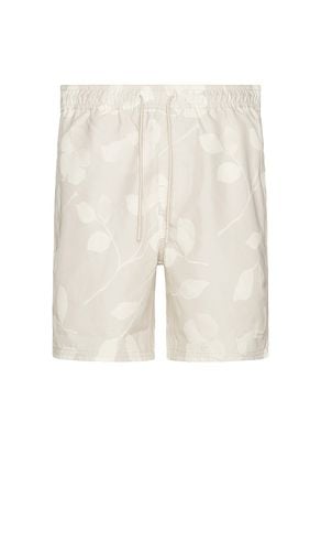 Timothy Floral Impressions Swim Short in . Taglia M, S, XL/1X - SATURDAYS NYC - Modalova