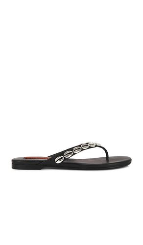 Riviera Thong Sandal in . Size 37. Also in 39 - SIMONMILLER - Modalova