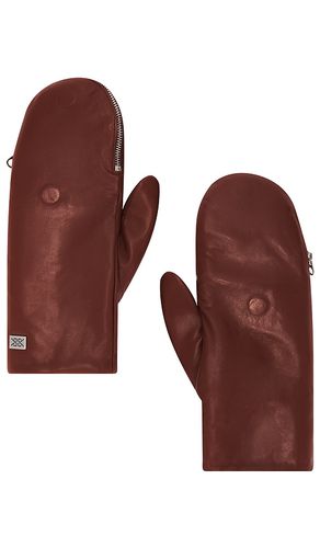 Betrice Gloves in . Size S - Soia & Kyo - Modalova