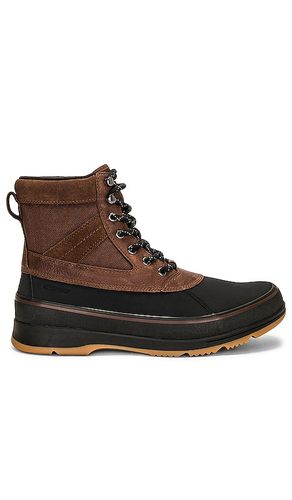 Zapatilla deportiva en color marrón talla 12 en & - Brown. Talla 12 (también en 7, 8, 8.5) - Sorel - Modalova