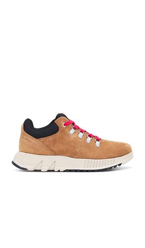 Mac Hill Lite Hiker Low Wp in . Size 11, 8 - Sorel - Modalova