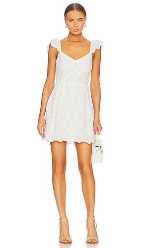 Vestido sierra en color blanco talla 10 en - White. Talla 10 (también en 2, 4, 6, 8) - Steve Madden - Modalova