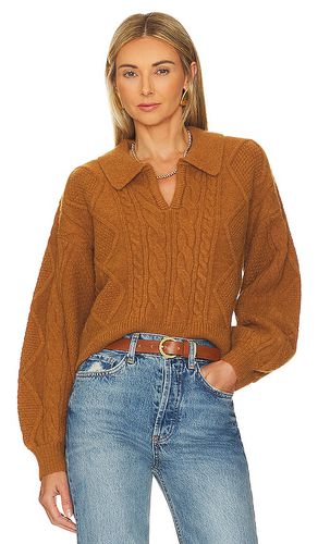 Cay Sweater in . Size M, XL - Steve Madden - Modalova