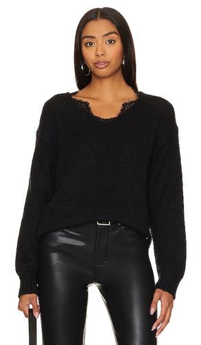 Masha Sweater in . Taglia XL - Steve Madden - Modalova