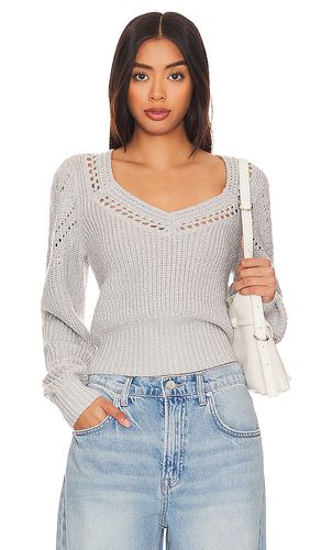 Irene Sweater in . Taglia XL - Steve Madden - Modalova