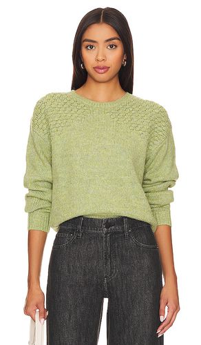 Kiana Sweater in . Size M, S, XL - Steve Madden - Modalova