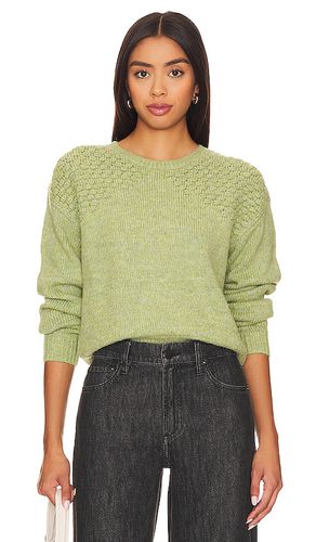 Kiana Sweater in . Taglia M - Steve Madden - Modalova