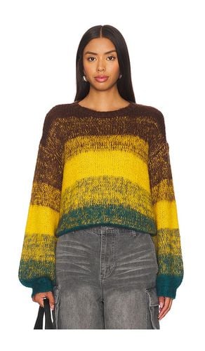 Lucie Sweater in . Size M, S, XL, XS - Steve Madden - Modalova