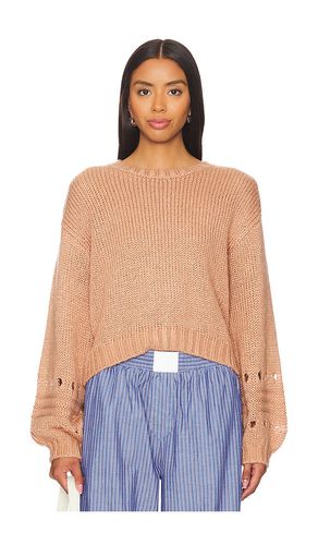 Lucie Sweater in . Size M, S, XL, XS - Steve Madden - Modalova