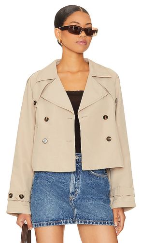 Sirus Jacket in . Size M, S, XL - Steve Madden - Modalova