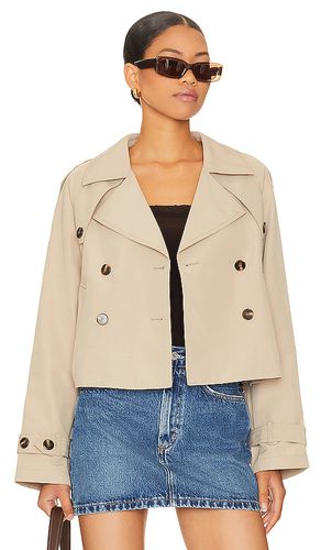 Chaqueta sirus en color bronce talla L en - Tan. Talla L (también en M, S, XL, XS) - Steve Madden - Modalova