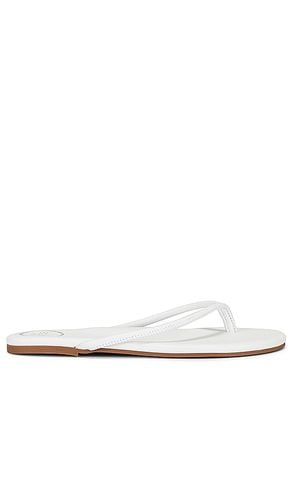 SANDALE VIVIE in . Size 7, 8, 9 - Solei Sea - Modalova