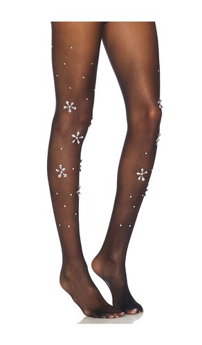 Superdown Claudia Tights in Black - superdown - Modalova