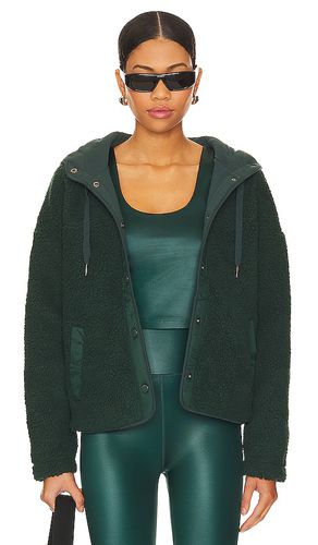 Nessa Hooded Sherpa Jacket in . Size M, S, XL, XS - Spiritual Gangster - Modalova