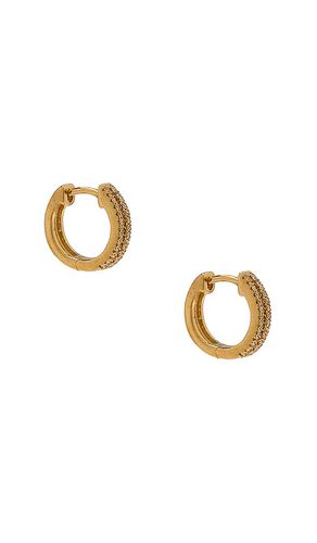 Pave Two Row Diamond Huggie Earrings in - STONE AND STRAND - Modalova